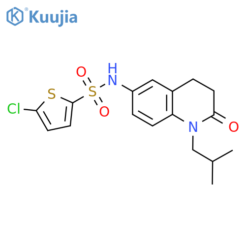 5-chloro-N-1-(2-methylpropyl)-2-oxo-1,2,3,4-tetrahydroquinolin-6-ylthiophene-2-sulfonamide structure