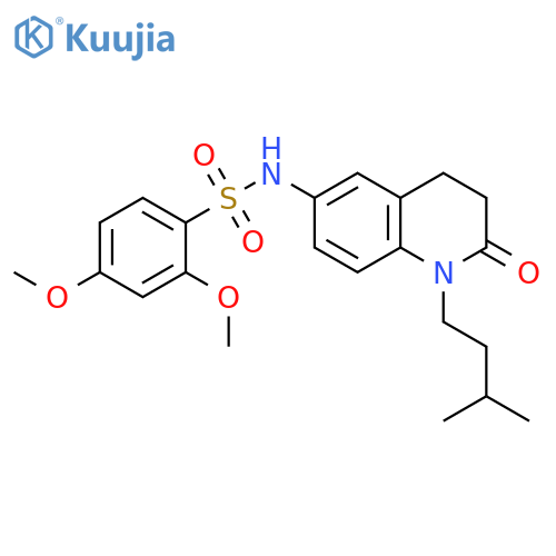 2,4-dimethoxy-N-1-(3-methylbutyl)-2-oxo-1,2,3,4-tetrahydroquinolin-6-ylbenzene-1-sulfonamide structure