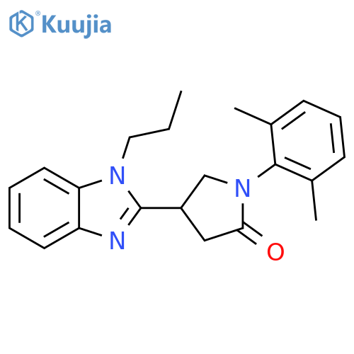 1-(2,6-dimethylphenyl)-4-(1-propyl-1H-1,3-benzodiazol-2-yl)pyrrolidin-2-one structure