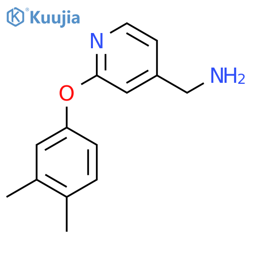 (2-(3,4-Dimethylphenoxy)pyridin-4-yl)methanamine structure