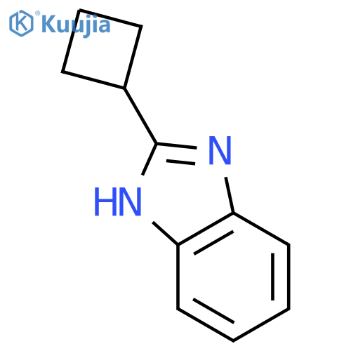 2-Cyclobutyl-1H-1,3-benzodiazole structure