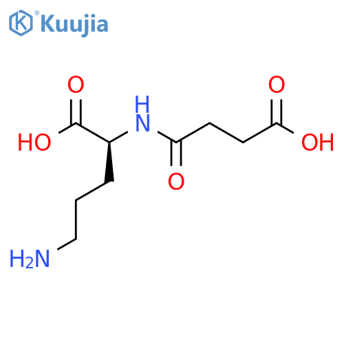 N2-Succinyl-L-ornithine structure